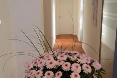 Impressionen-10